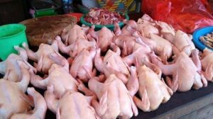 Kesenjangan Terlihat: Harga Ayam di Sumbar Termahal Nasional